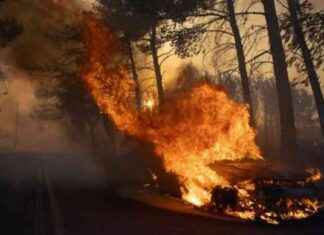 Wildfire Threatens Greek Capital: Urgent Updates and Safety Measures news-13082024-112222