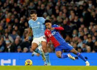 Crystal Palace Manager Oliver Glasner Gives Vital Fitness Update for Premier League Opener news-16082024-172959