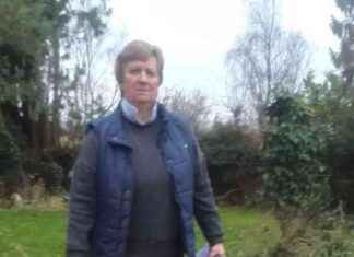 Tree Accident in Winnie the Pooh Forest Causes Brain Injury to Woman news-16082024-173200