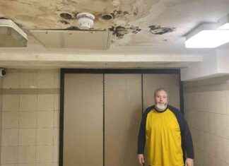 Troubleshooting Issues in a Troubled Tower Block: Leaks and Odorous Lifts news-17082024-113259