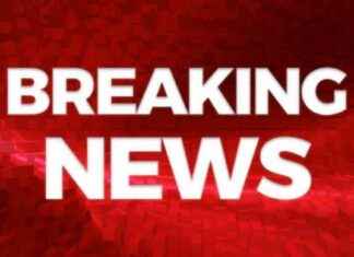 Victoria Line Service Disruption Due to Incident on Track – Live Updates news-20082024-104928