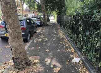 Exploring John Vane’s Summer Morning Stroll news-20082024-225122