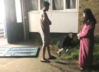 Croydon Mum Survives Metal Door Accident, Tragically Losing Unborn Baby news-23082024-113854