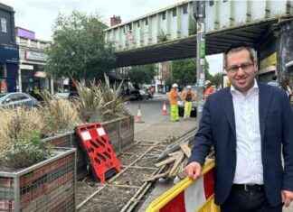 Trouble Caused by Parklets: How They Diminished Street Appeal news-24082024-235237