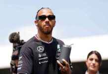 Lewis Hamilton Opens Up About Near-Drowning Experience While Surfing news-25082024-235726