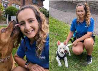 Pet Care Service in Sidcup: Former Events Pro Becomes Dog Mompreneur news-26082024-115839