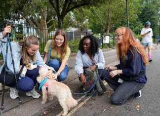 Rescue Dogs and Women’s Group Join Forces to Fight Loneliness news-10092024-122807