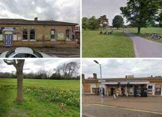 Discover the Charm of South East London: 8 Parks, 6 Train Stations news-15092024-194310