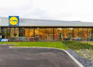 Lidl Faces Backlash Over Cashless Self-Service Tills news-16092024-160537