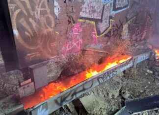 Fire near Brockley Station Disrupts Train Lines: Latest Updates and Impacts news-17092024-164649