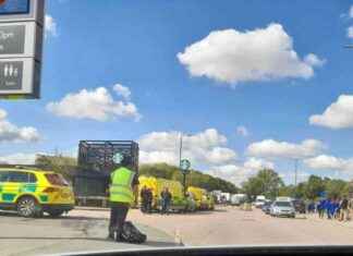 Firefighters work to extinguish massive fire at Belvedere factory for third consecutive day news-18092024-170358