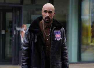 Man to stand trial for denying ownership of XL bully dogs that killed grandmother news-20092024-080029