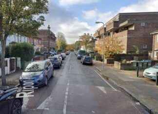 Police Searching for Suspects in Woolwich Teen Stabbing Case news-23092024-094711