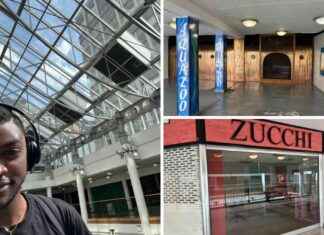 Revitalizing the Whitgift Centre: Transforming Empty Units into Exciting Attractions news-23092024-162232