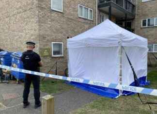 Tragic Discovery: London Teen’s Body Found in Norwich Flat After 8 Days news-24092024-122317