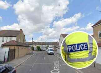 Illegal Cannabis Factory Uncovered in Hornchurch Home – Man Arrested in his 50s news-26092024-051725