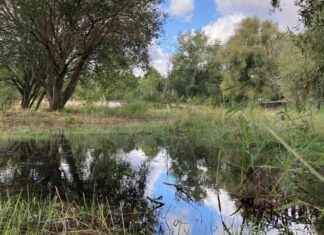 Restoring Wetlands: Recovering from Stolen Filter Equipment news-28092024-115205