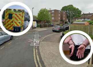 Man and 16-Year-Old Boy Stabbed, Fighting for Life: Updates and Details news-06102024-215951