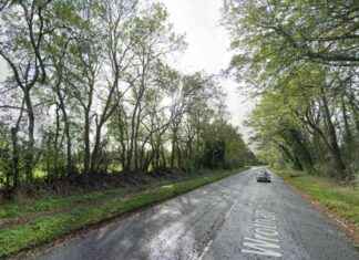 Police Identify Bexley Man Found Dead in Undergrowth news-23102024-233003