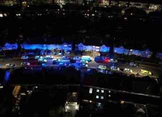 Stabbed Woman and Children: Live Hospital Updates for Families news-26102024-121055