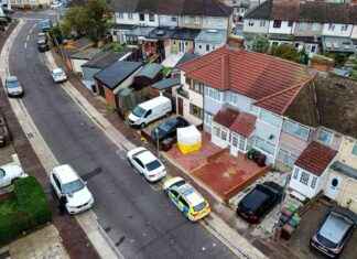 Triple Stabbing Victims Hospitalized, Man Arrested: Recap and Updates news-26102024-181147