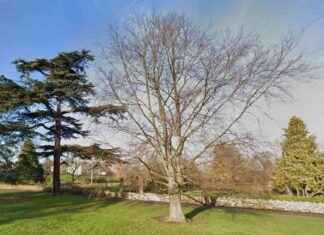 Emergency Services Responding to Incident at Danson Park: Live Updates news-30102024-125658