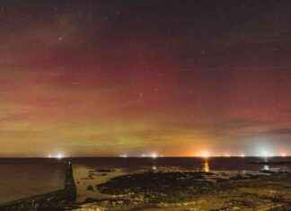 Fun Activities in Kent for the Winter Season news-03112024-142902