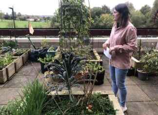 Urban Gardening Project on Broadwater Farm: Cultivating Community and Growth news-03112024-203249