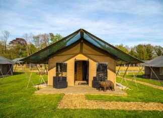 Luxury Family Glamping at Bear Lodge in Kent: Experience Rare Animals news-11112024-024634