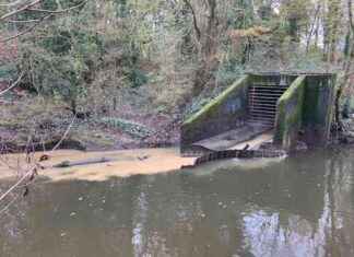 New Housing Schemes Causing Sewage Pollution in Rivers Brent and Crane news-18112024-123828