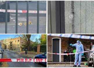 London Horror: Multiple Injuries from Stabbings and Shootings news-29112024-051837