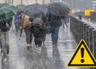 London Weather Warning: LIVE Travel Updates for Storm Darragh london-weather-warning-lve-travel-updates-for-storm-darragh