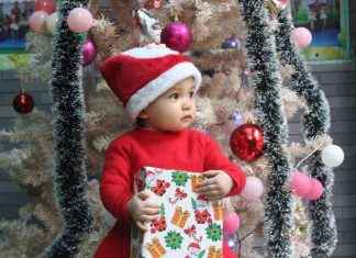 Spread Holiday Cheer: Donate to the Winter Toy Appeal to Make a Child’s Christmas Brighter news-03122024-094545