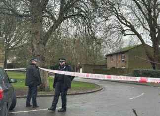 Stabbing Incident Prompts Multiple Cordons Outside Shooters Hill College – Updates stabbing-ncident-prompts-multiple-cordons-outside-shooters-hill-college-updates