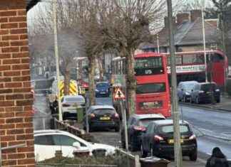 Woman Hospitalized After Crash on Busy Road in Dagenham: Live Updates woman-hospitalized-after-crash-on-busy-road-in-dagenham-live-updates
