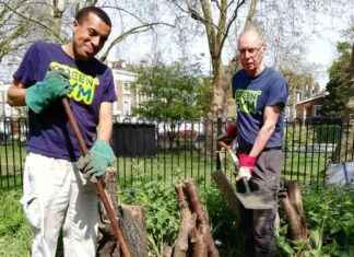 Free Tree Giveaway Event in London: Help Make the City Greener free-tree-giveaway-event-in-london-help-make-the-city-greener