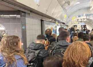 London Underground Line Suspended: Incident Causes Major Disruption london-underground-line-suspended-ncident-causes-major-disruption
