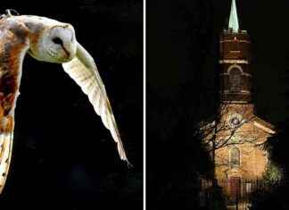 Captivating Photos by Established Photography Group: A Showcase captivating-photos-by-established-photography-group-a-showcase