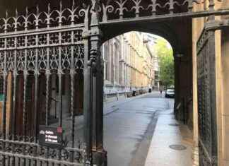 Impact of Restrictions on Foreign Students in the UK mpact-of-restrictions-on-foreign-students-in-the-uk