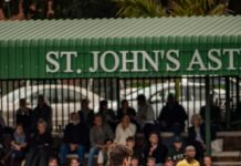 St. Louis Cardinals Vs Dodgers Match Player Stats Revealed Insights