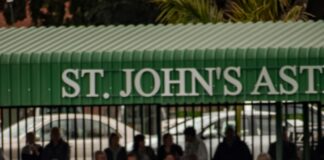 St. Louis Cardinals Vs Dodgers Match Player Stats Revealed Insights