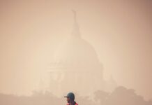 Bengals Vs Baltimore Ravens Match Player Stats: Who Dominated?