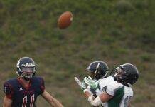 Bengals Vs Carolina Panthers Match Player Stats Revealed: Who Dominated?