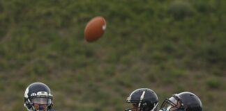 Bengals Vs Carolina Panthers Match Player Stats Revealed: Who Dominated?