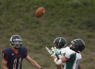 Bengals Vs Carolina Panthers Match Player Stats Revealed: Who Dominated?