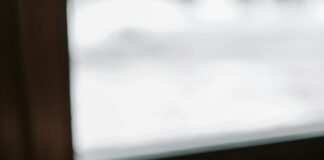 Miami Dolphins Vs Cleveland Browns Match Player Stats Revealed