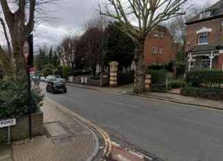 Teenager Hospitalized Following Crouch Hill Stabbing teenager-hospitalized-following-crouch-hill-stabbing