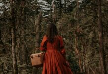 Golden State Warriors Vs Portland Trail Blazers Match Player Stats Revealed