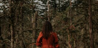 Golden State Warriors Vs Portland Trail Blazers Match Player Stats Revealed