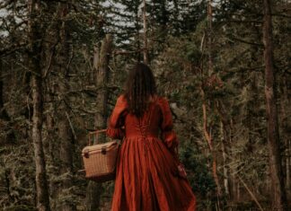 Golden State Warriors Vs Portland Trail Blazers Match Player Stats Revealed